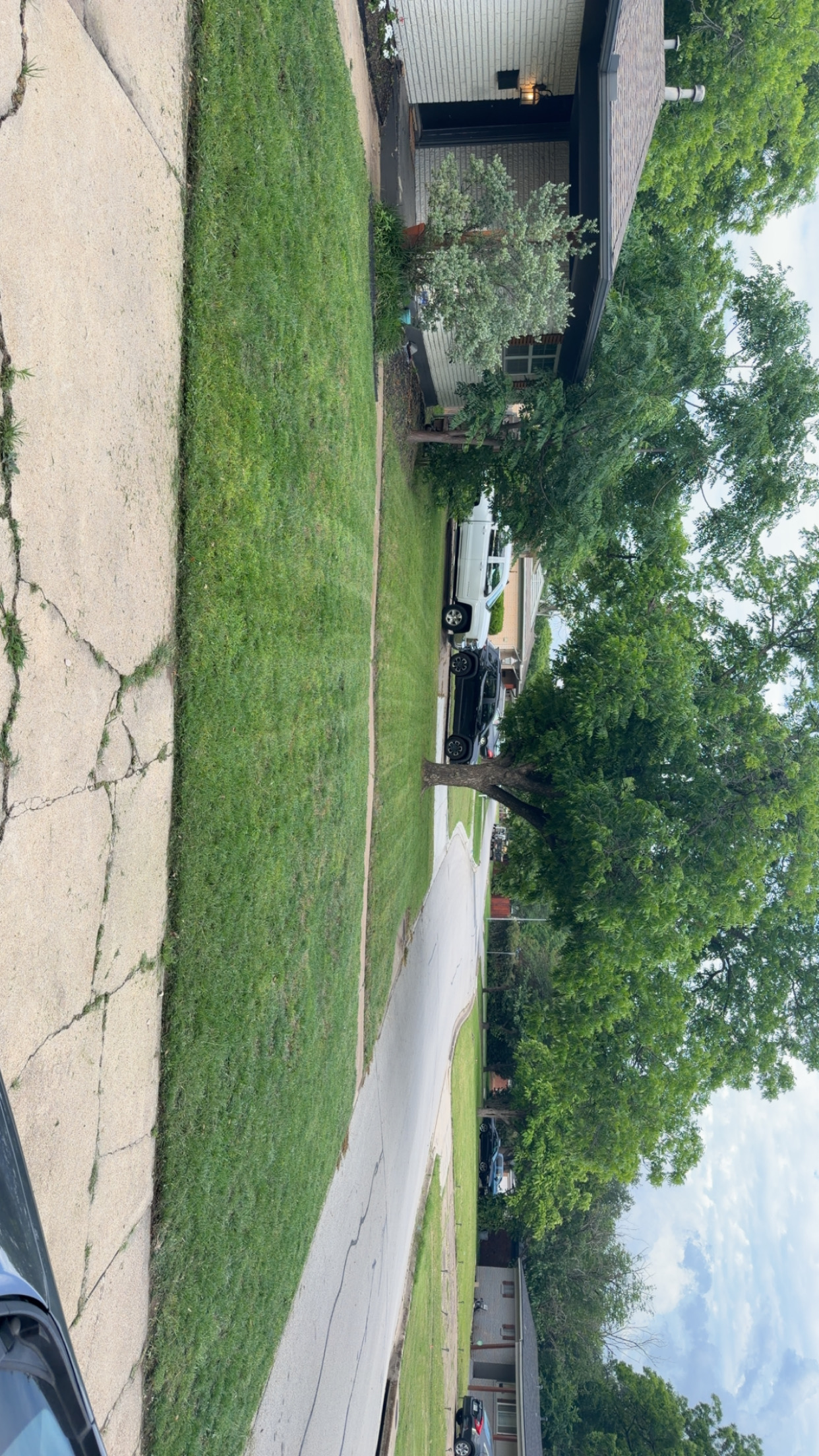 Lawn care and mowing service