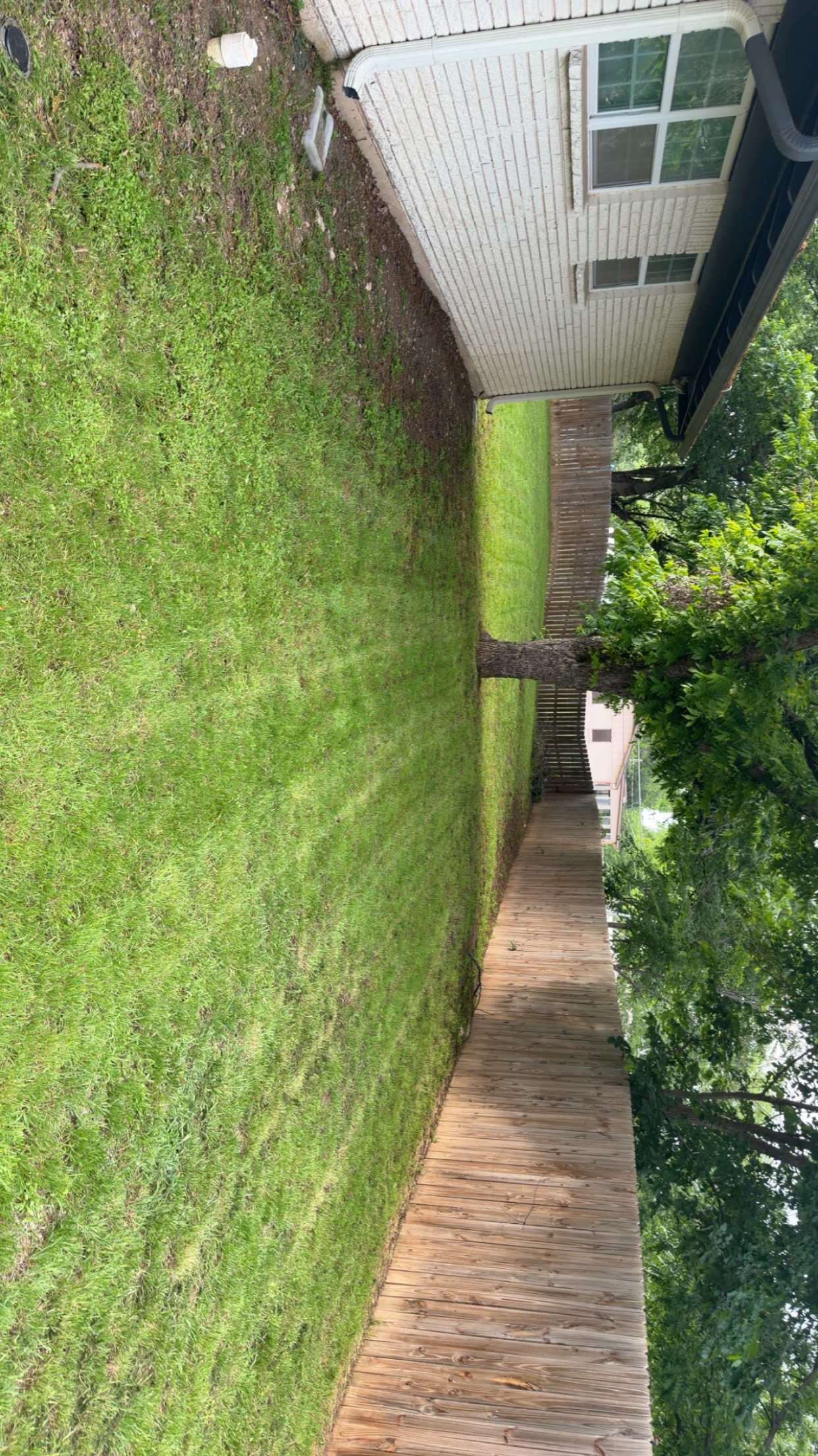 Clean lawn maintenance beside home